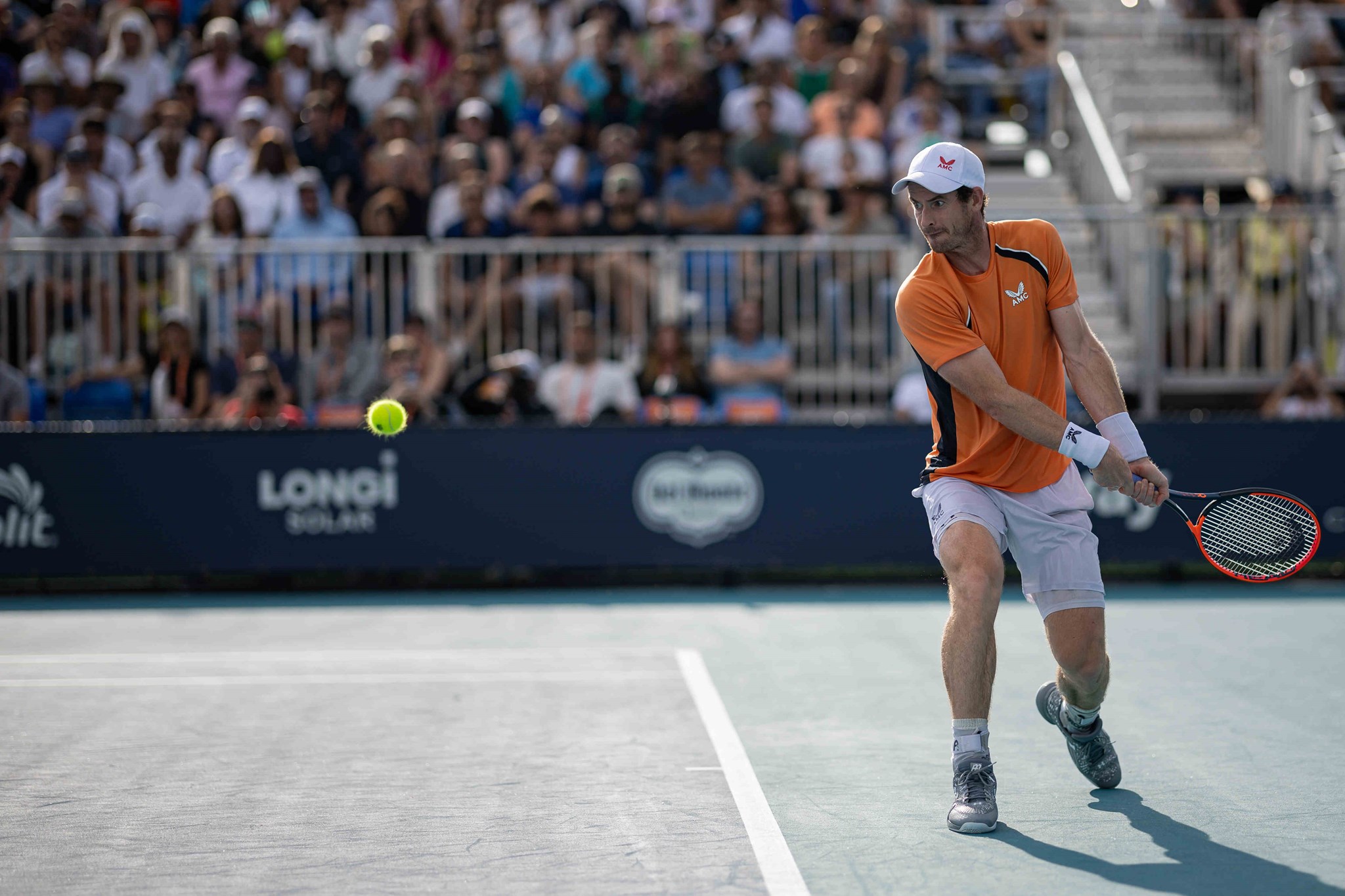 Miami Open 2024: Results & Updates 