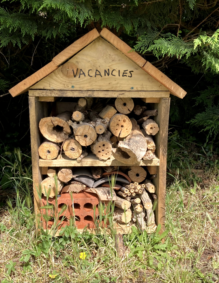 A bug hotel filled with scraps of wood