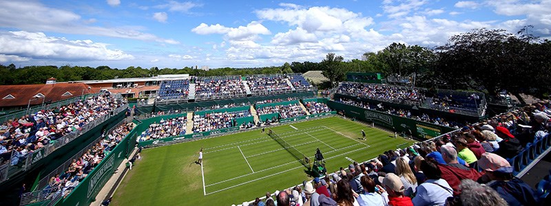 Grass court tennis match with crowd watching from stands