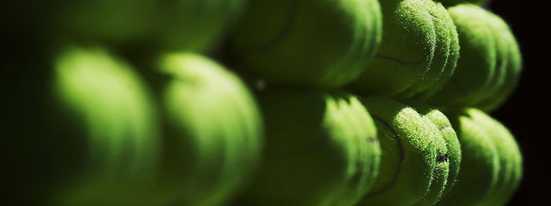 close up image of yellow tennis balls