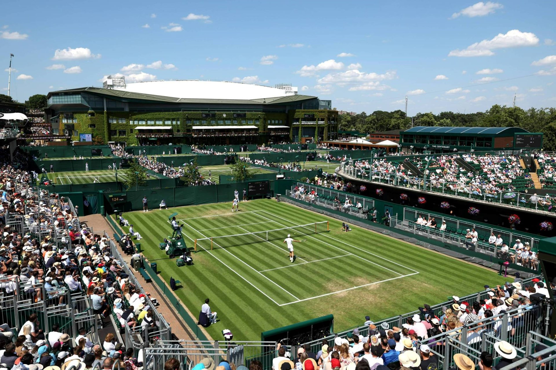 Ballots open for your chance to get tickets for Wimbledon 2025 LTA