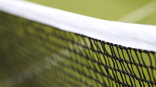 Detailed view of a tennis net on a grass court