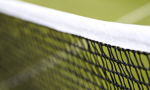 Detailed view of a tennis net on a grass court