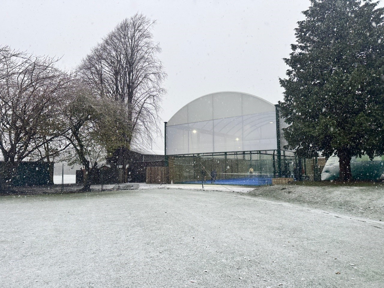 A padel court in the snow with trees on either side